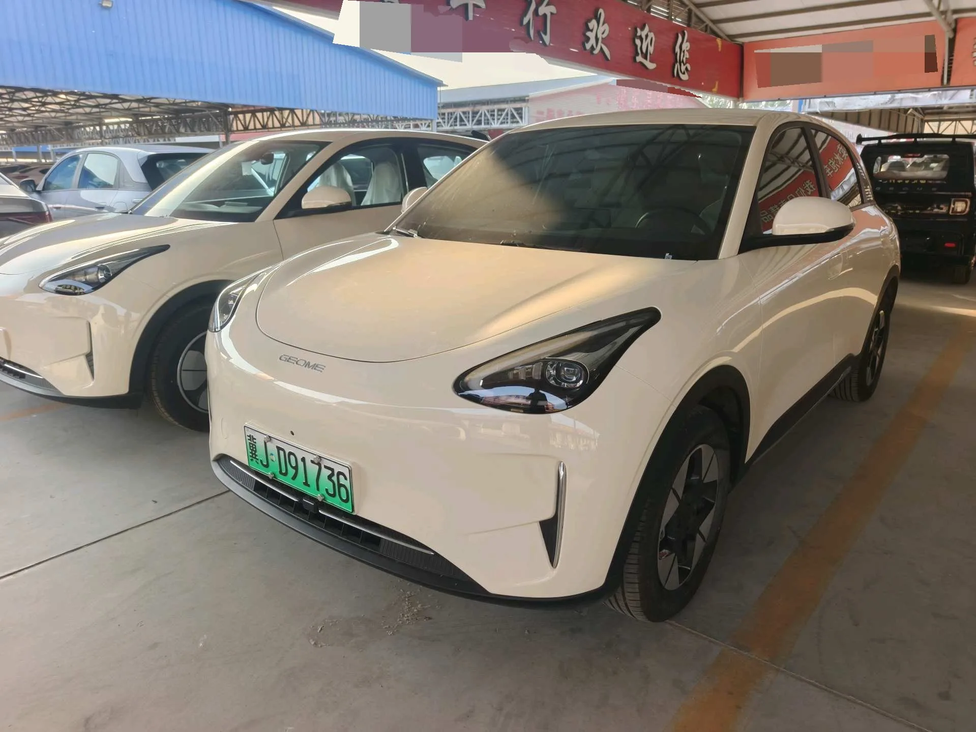 Star Wish 2025 310km Dream Edition