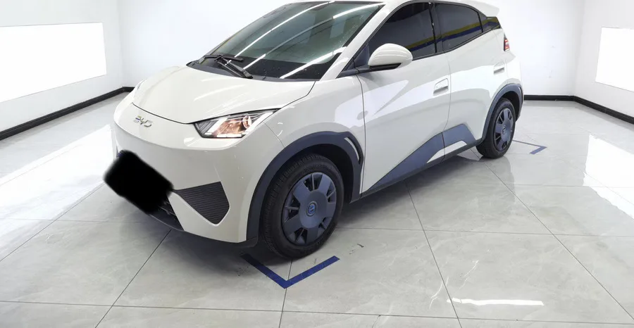 BYD 2025 Seagull Smart Driving Edition 305km/h Vitality Edition Automatic