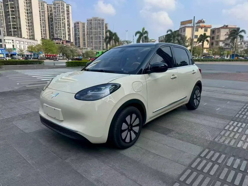 Wuling Bingo 2024 Model, 333km Range, Enjoy Edition