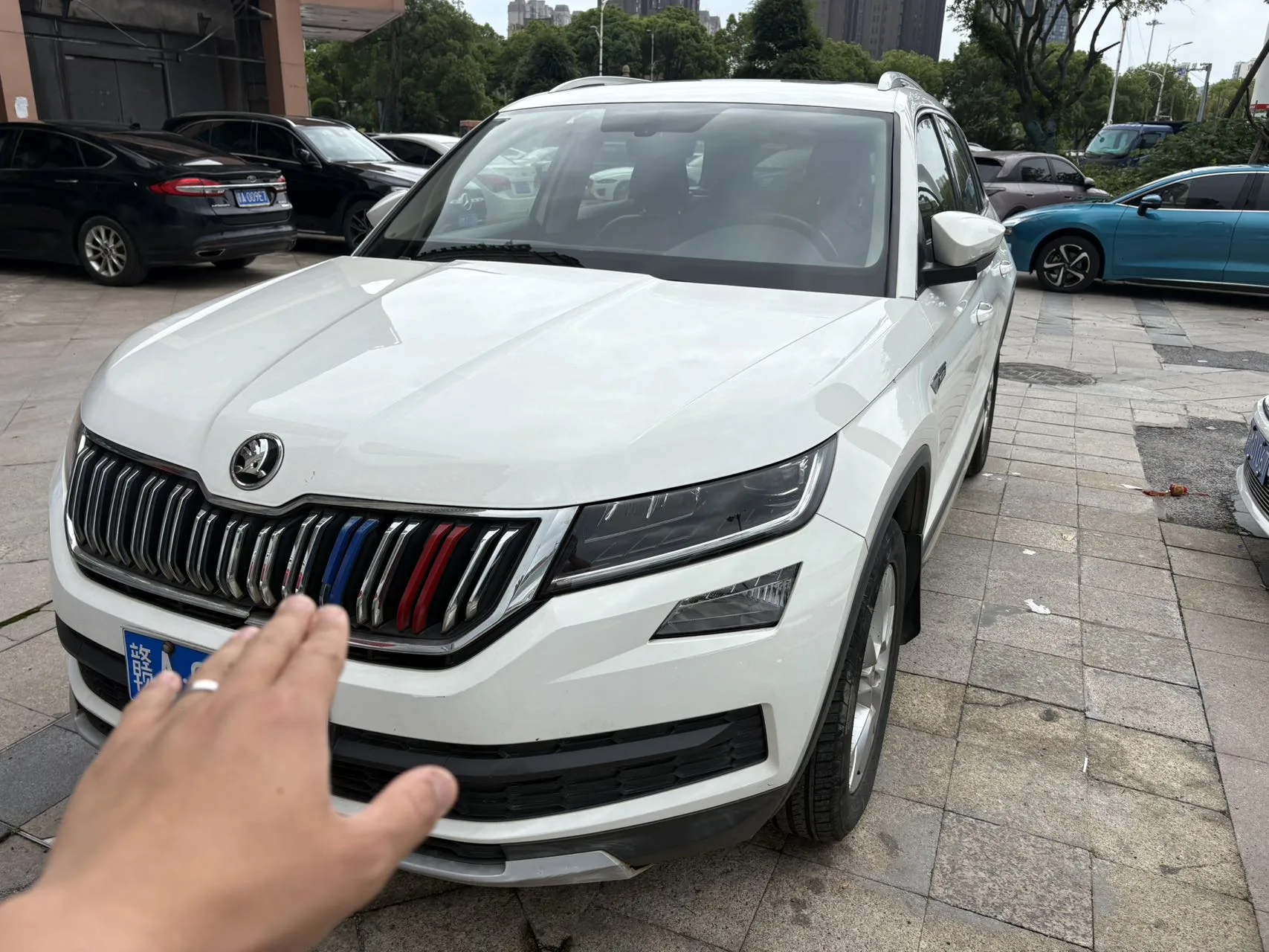 2018 Kodiaq Facelift TSI330 5-seater 2WD Luxury Edition