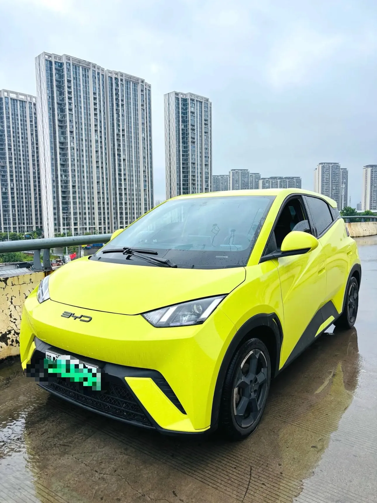 BYD 2023 Seagull Flying Edition Automatic