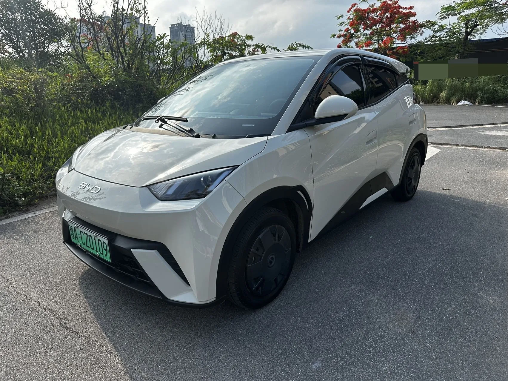 BYD 2025 Seagull 305km/h Vitality Edition Automatic