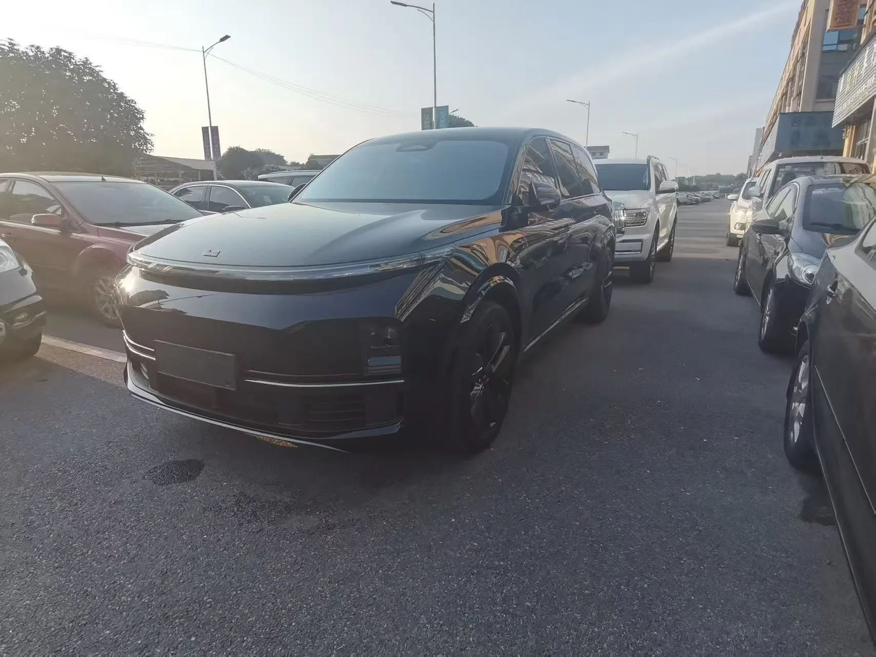 Li Auto L9 2023 Pro
