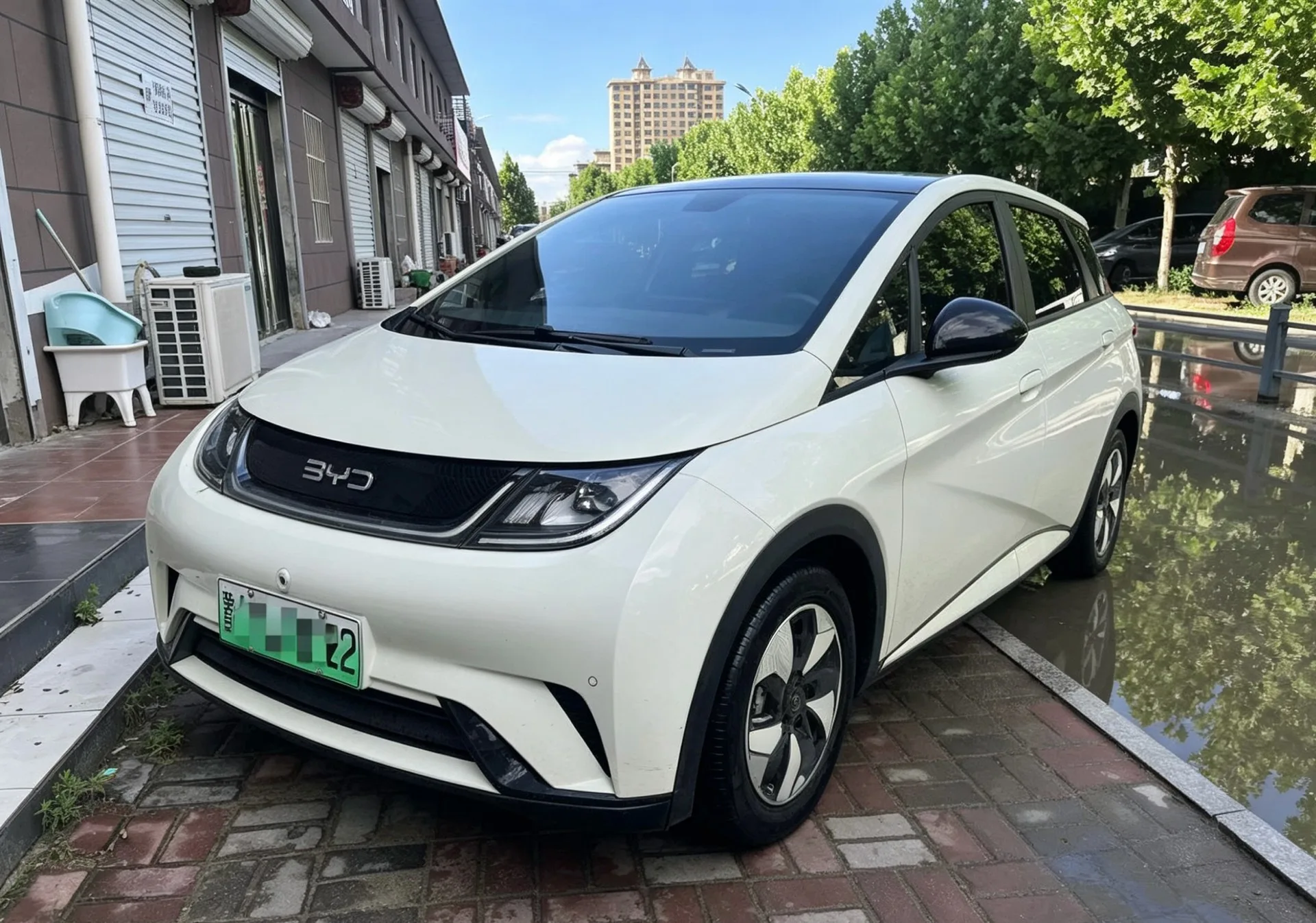 BYD 2023 Dolphin 420km Fashion Edition Automatic