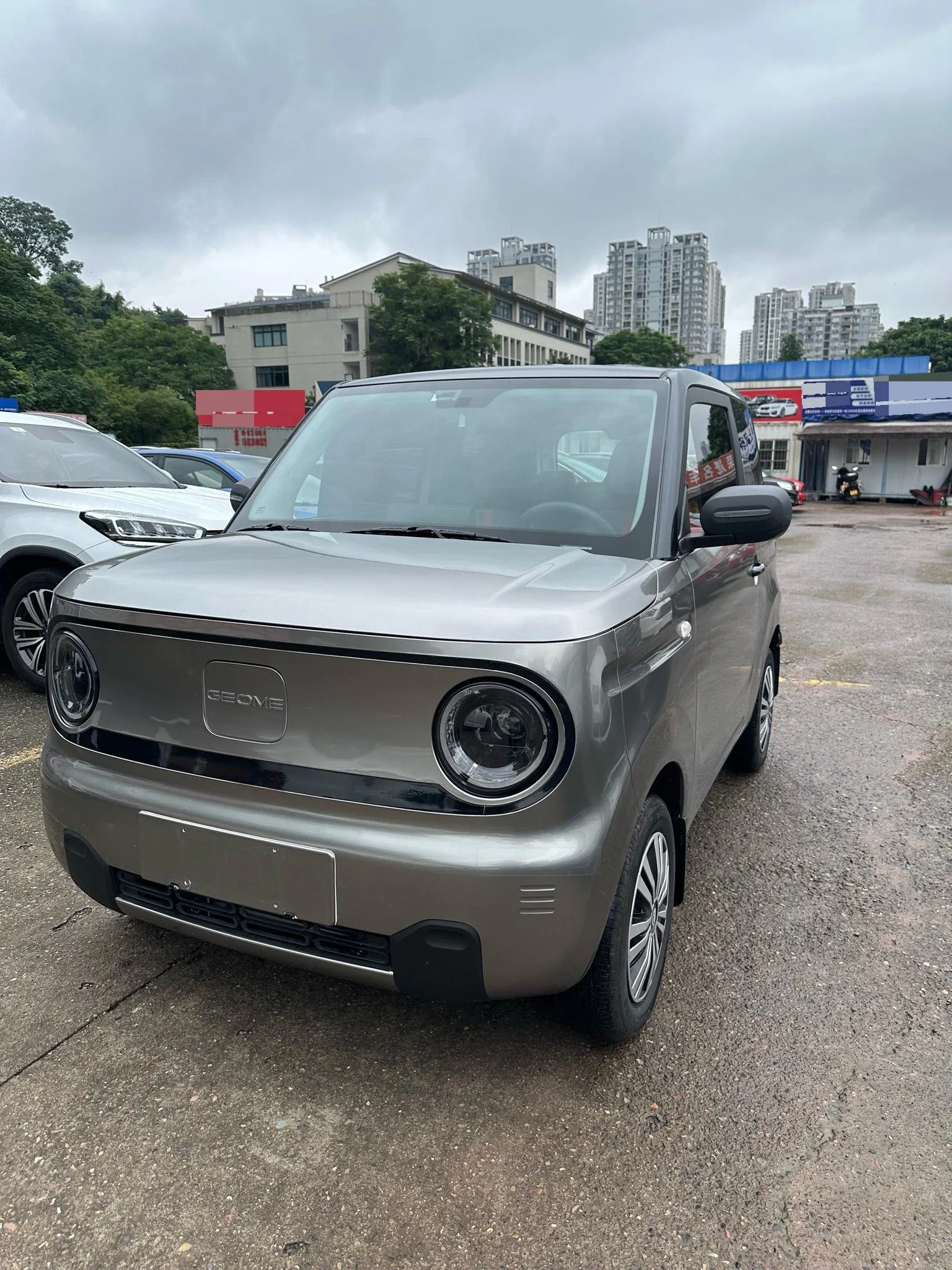 Panda 2024 Panda Mini 200km Endurance Bear