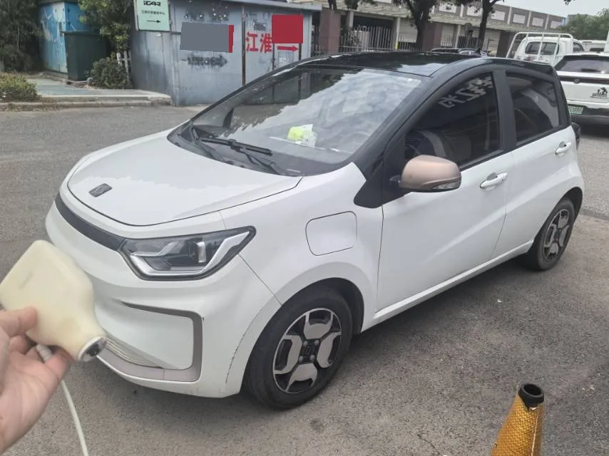 2022 Sihao E10X "Flower Fairy" Edition "Starry Sky"