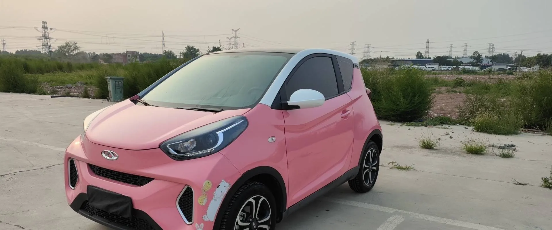 Little Ant 2022 Model, Sweet Pink Version, Half-Sugar Edition, Lithium Iron Phosphate, 30kW, 301km/h