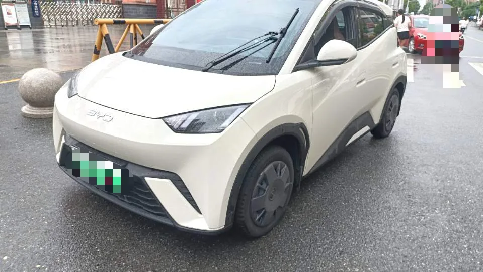 BYD 2025 Seagull 305km/h Vitality Edition Automatic