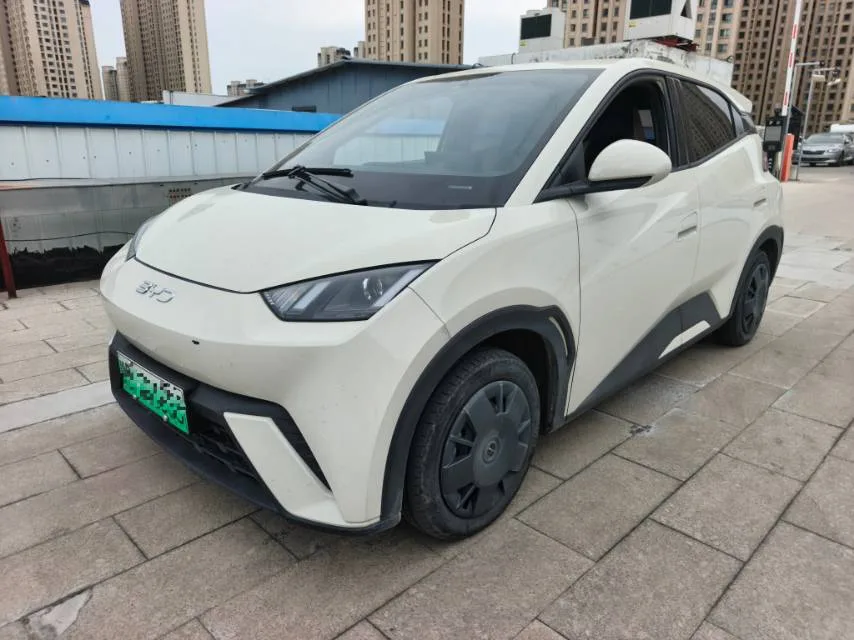 BYD 2023 Seagull Vitality Edition Automatic