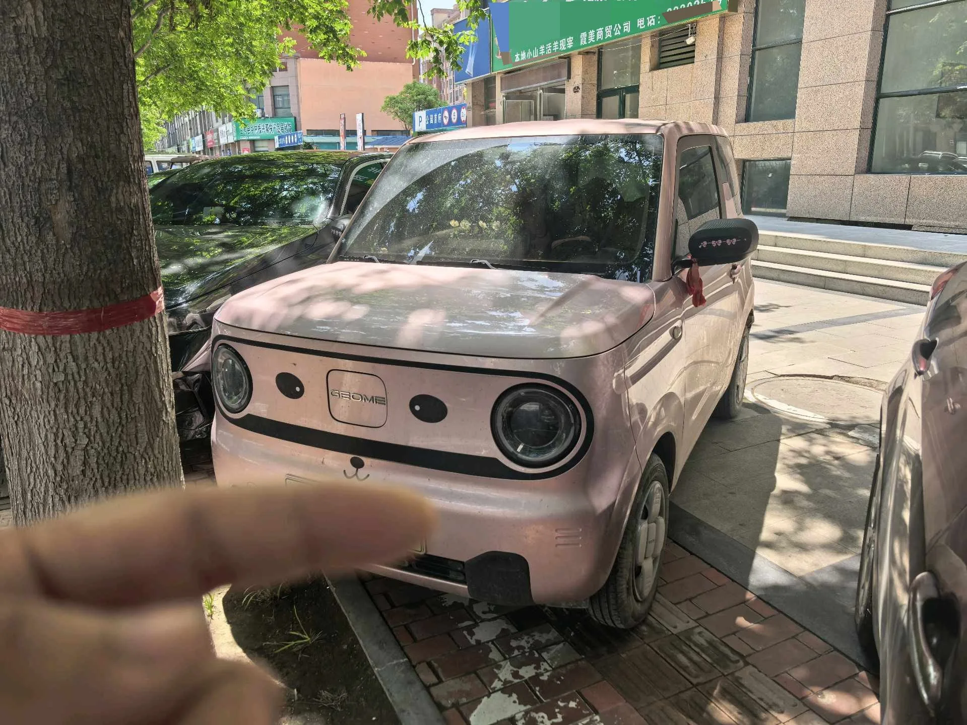 Panda 2024 Panda Mini 200km Endurance Bear