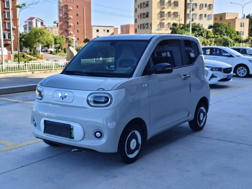 Wuling 2024 Hongguang MINI EV 215km Youth Edition Automatic