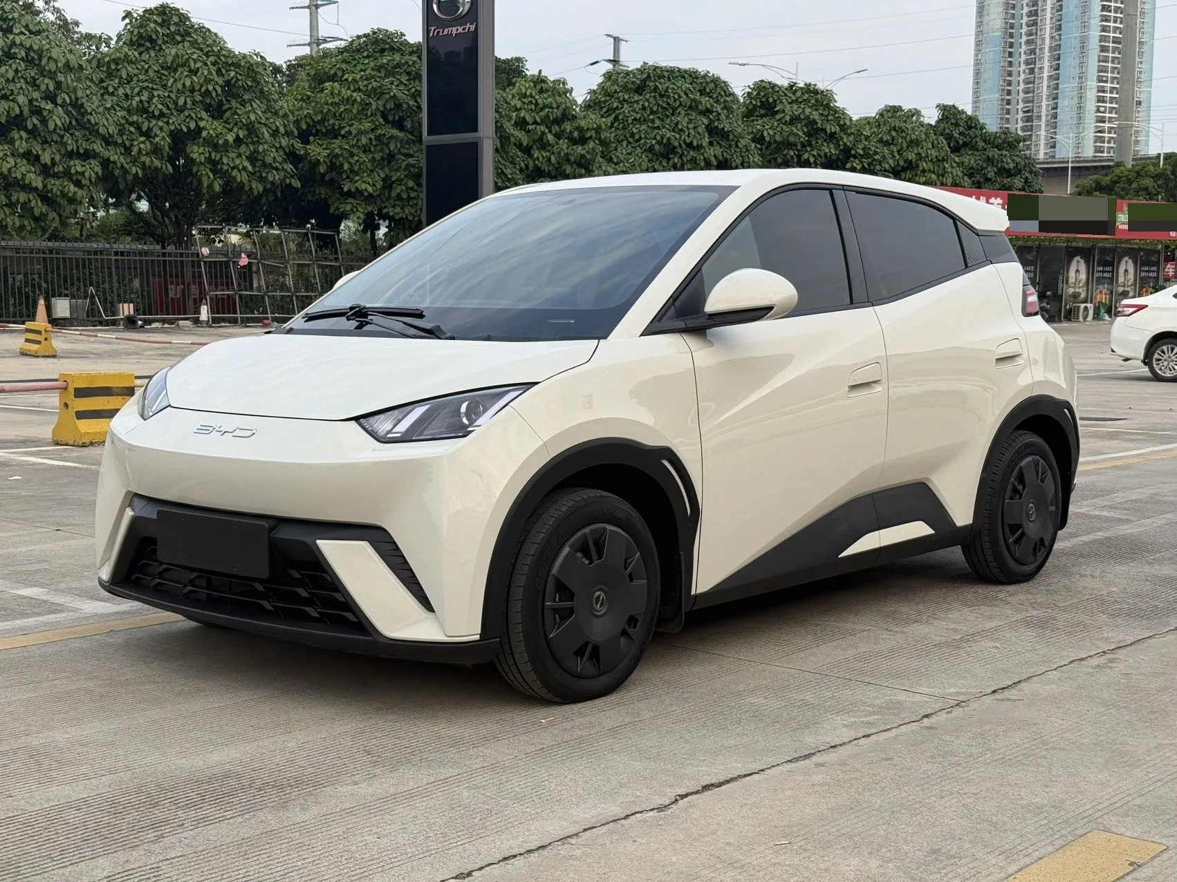 BYD 2023 Seagull Vitality Edition Automatic