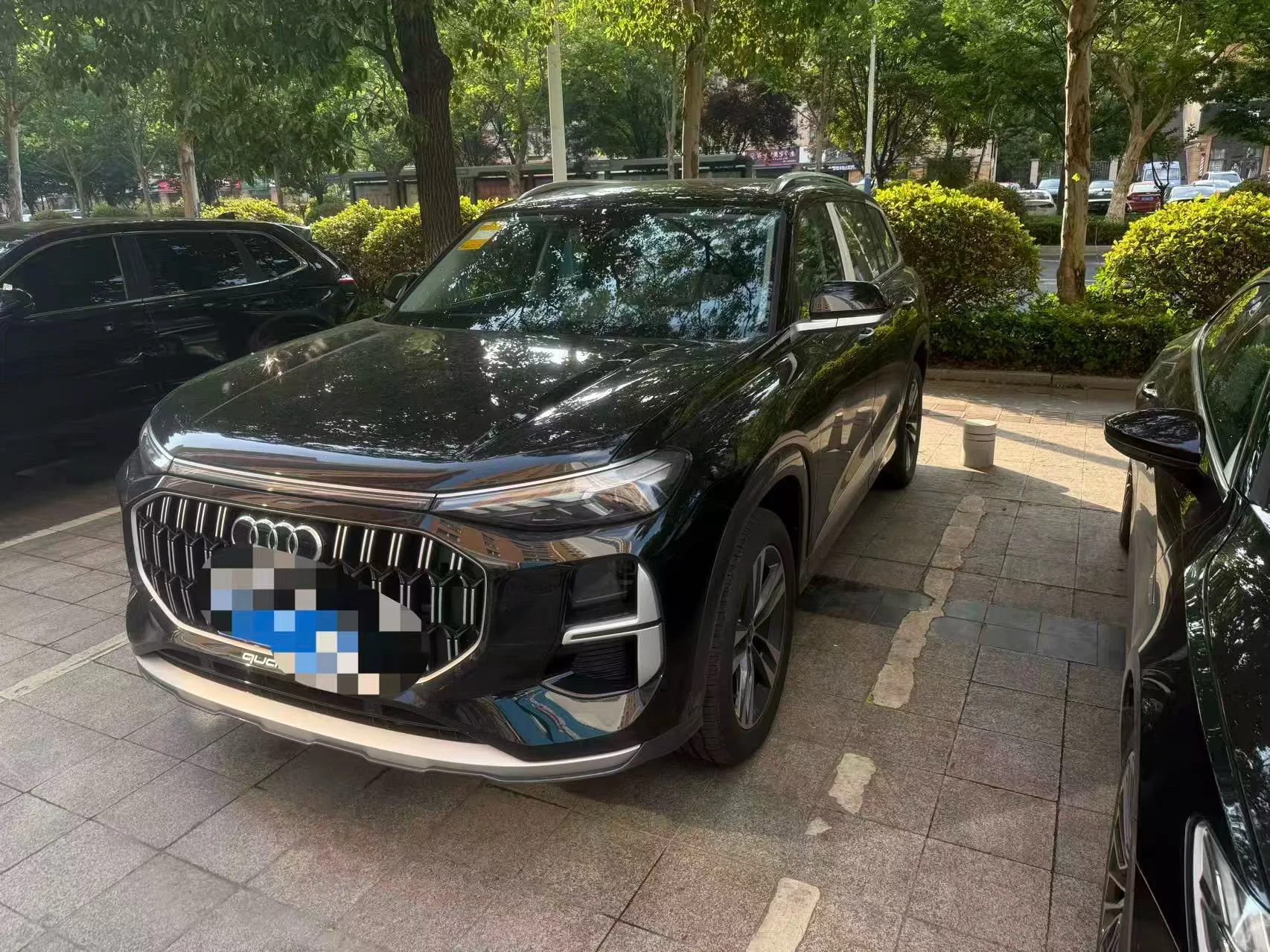 Audi 2025 Q6 2.0TFSI 40TFSI Quattro Commemorative Edition, 7-seater, Automatic Transmission (Feathered Forest Package)