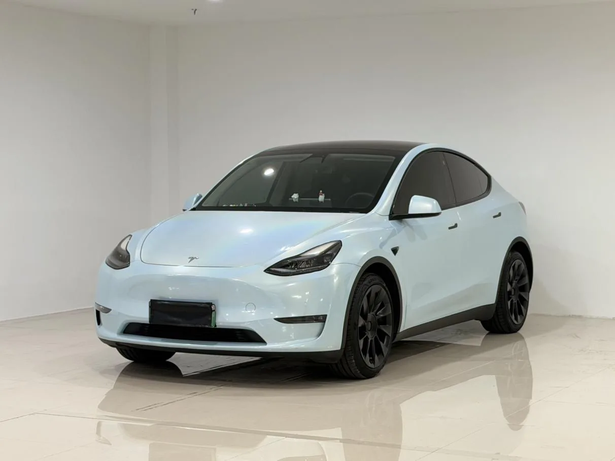 Model Y 2021 Standard Range Rear-Wheel Drive