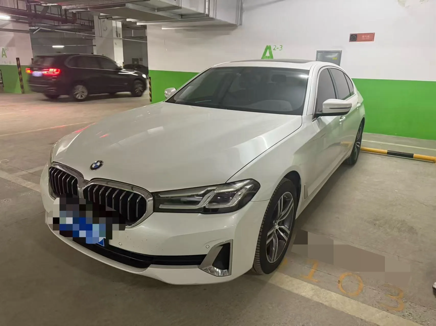 BMW 5 Series 2021 530Li Leading Luxury Package