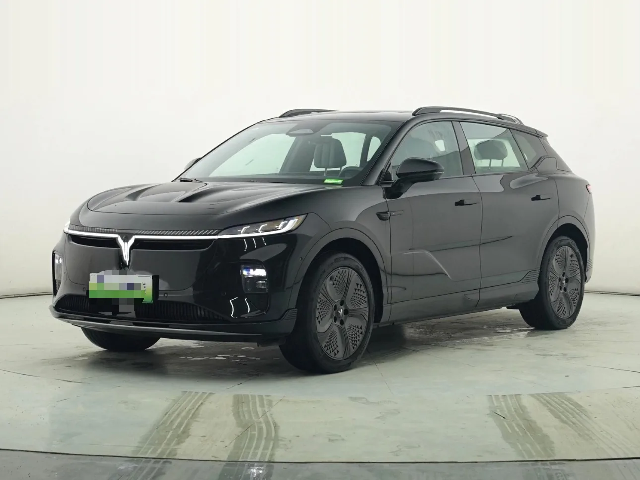 Lan图 Zhiyin 2024 Model, Single-Motor High-Power, Ternary Lithium