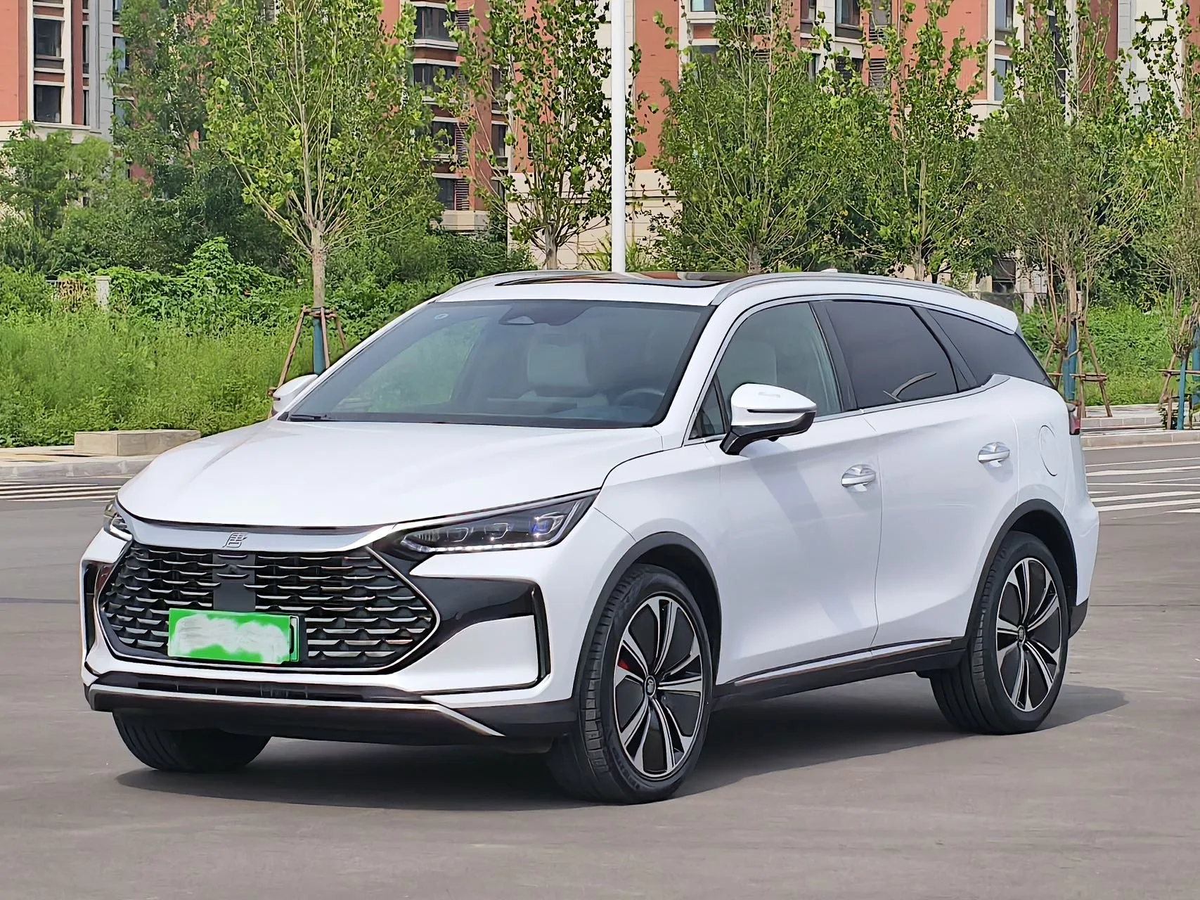 Tang New Energy 2022 DM-p 215KM 4WD Premium Edition