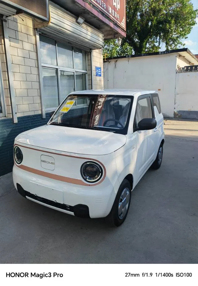 Panda 2024 Panda Mini 200km Endurance Bear
