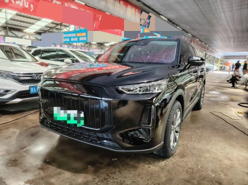 Chery 2025 Fengyun T9 C-DM 1.5T 120 Long Range Premium 5-seater Ternary Lithium Automatic Transmission