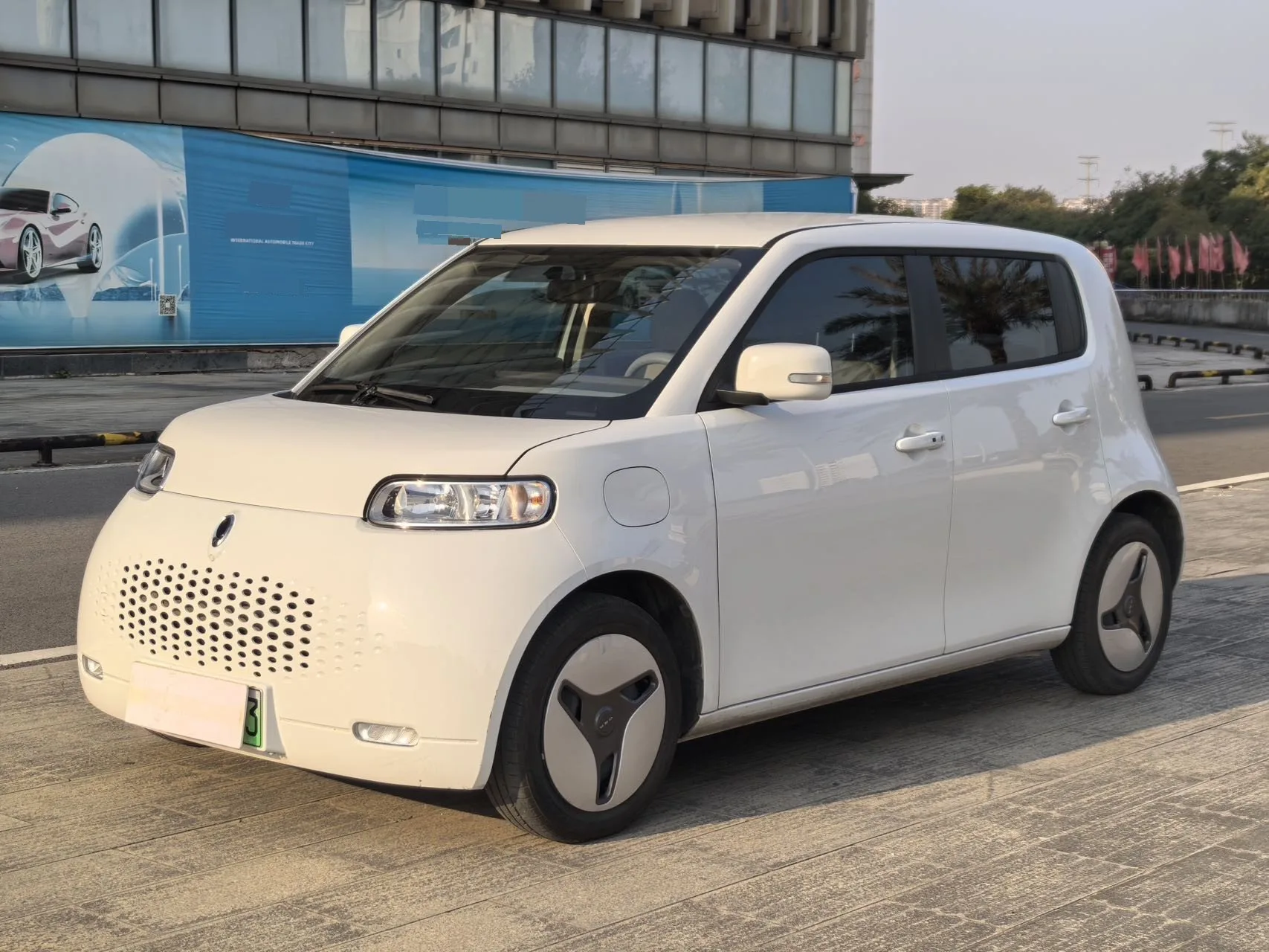 Euler White Cat 2020 Model, 360 km, Business Edition