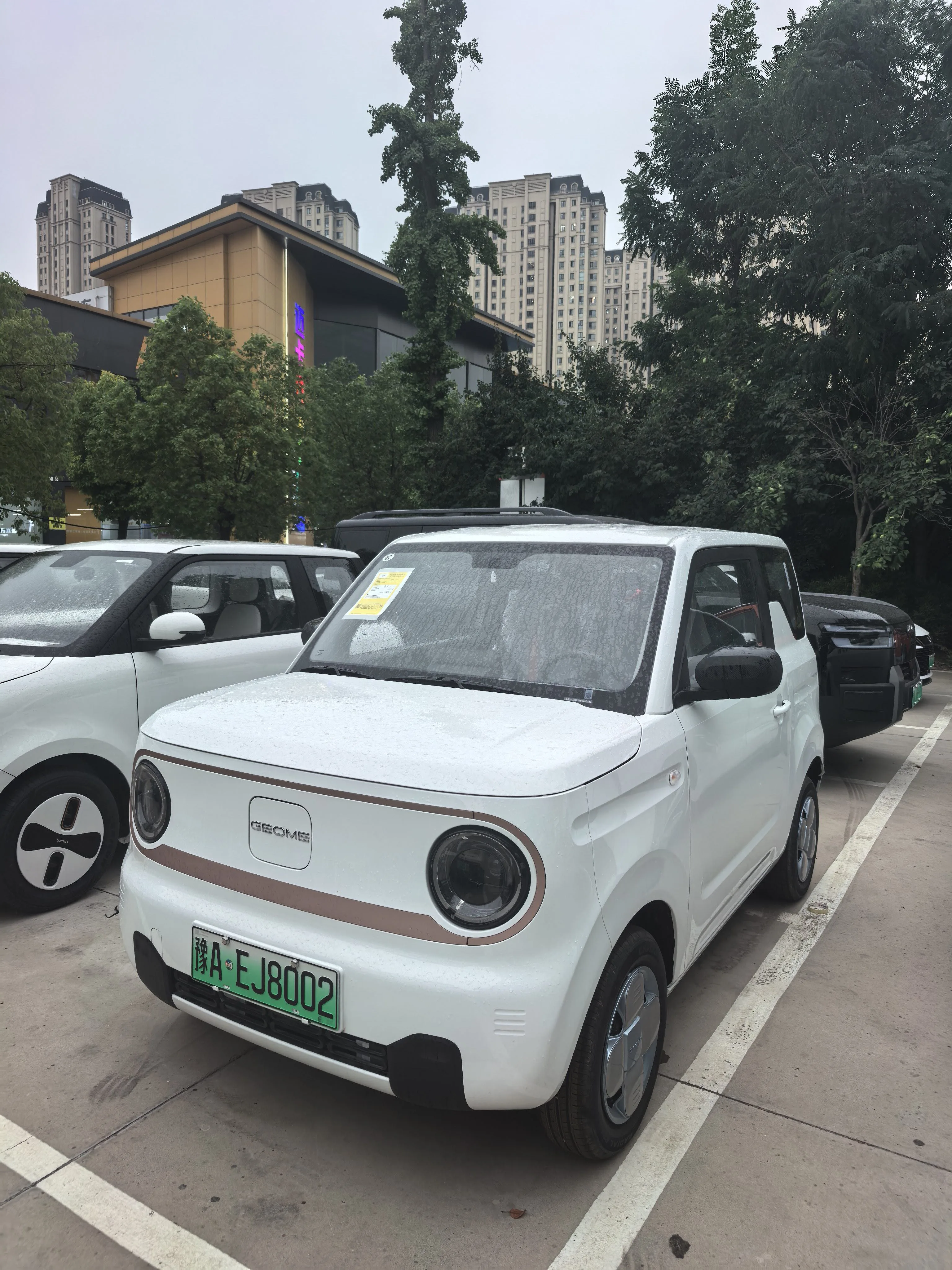 Panda 2024 Panda Mini 200km Endurance Bear