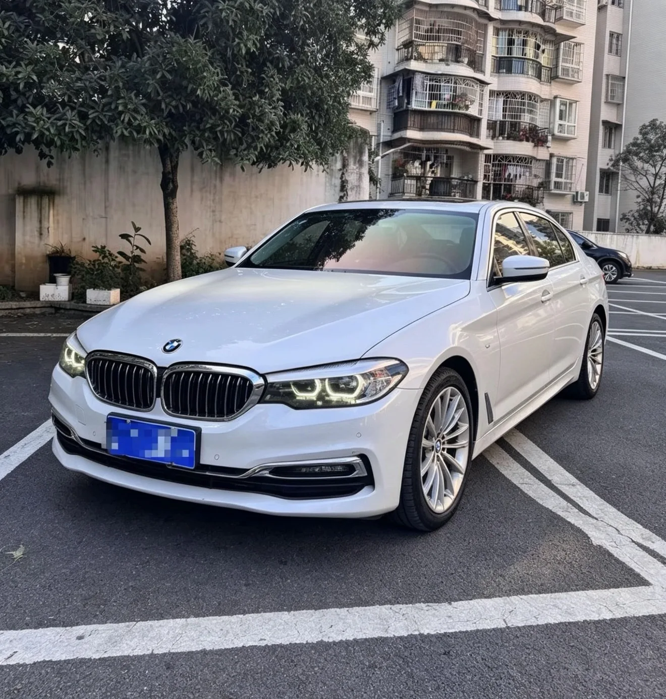 2019 BMW 5 Series 525Li Luxury Package