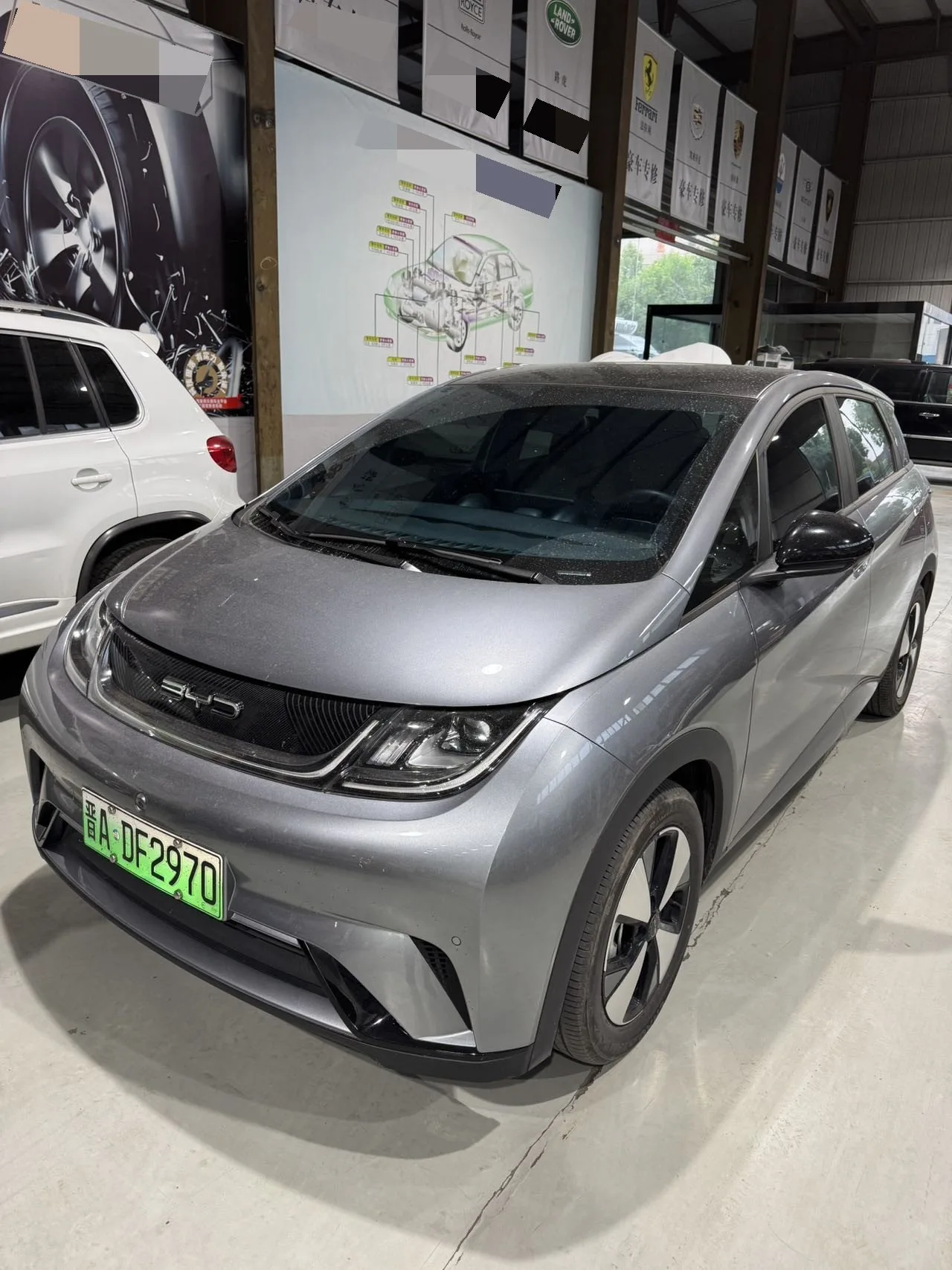 BYD 2023 Dolphin 420km Fashion Edition Automatic