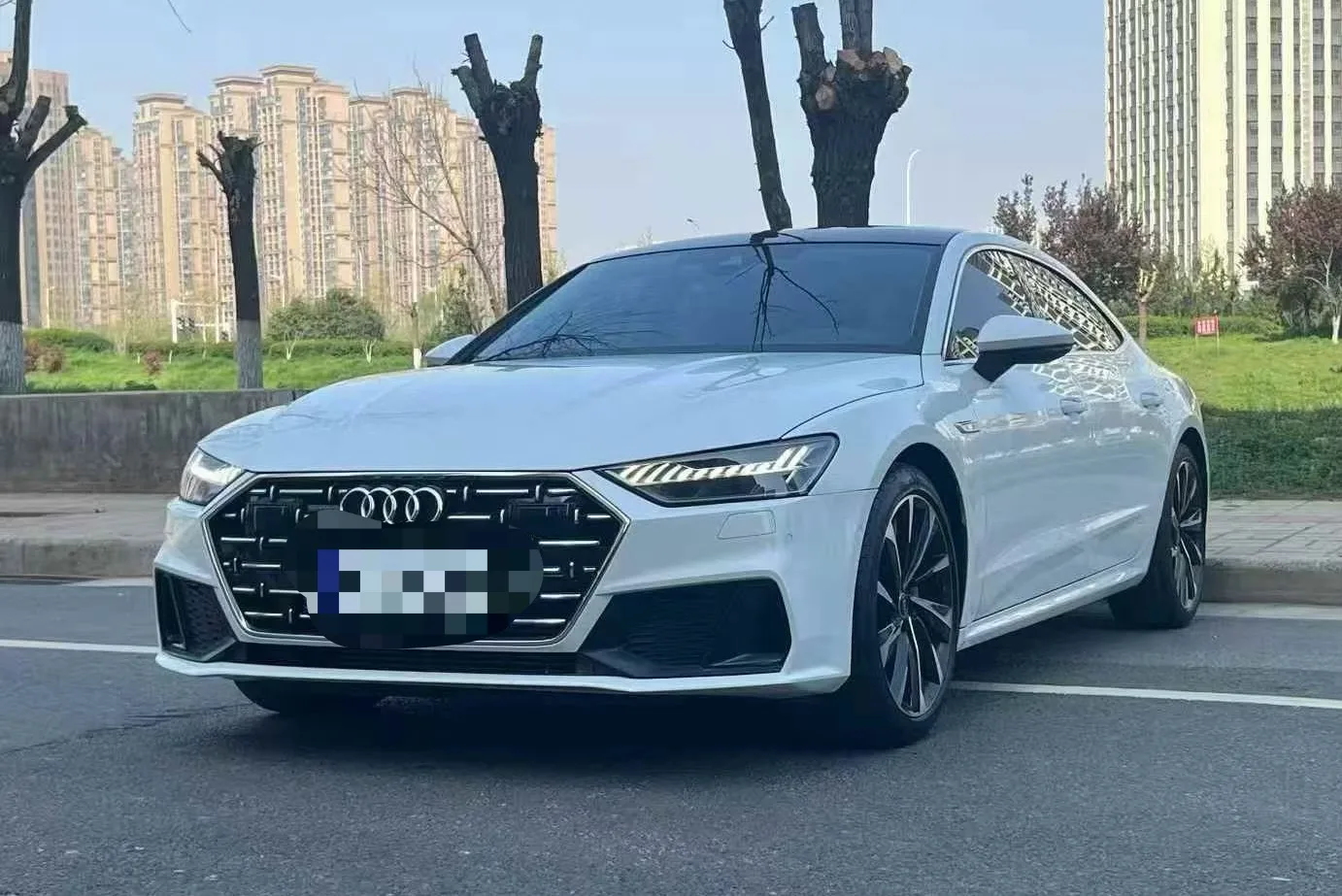 Audi A7L 2022 45 TFSI quattro S-line Paladin