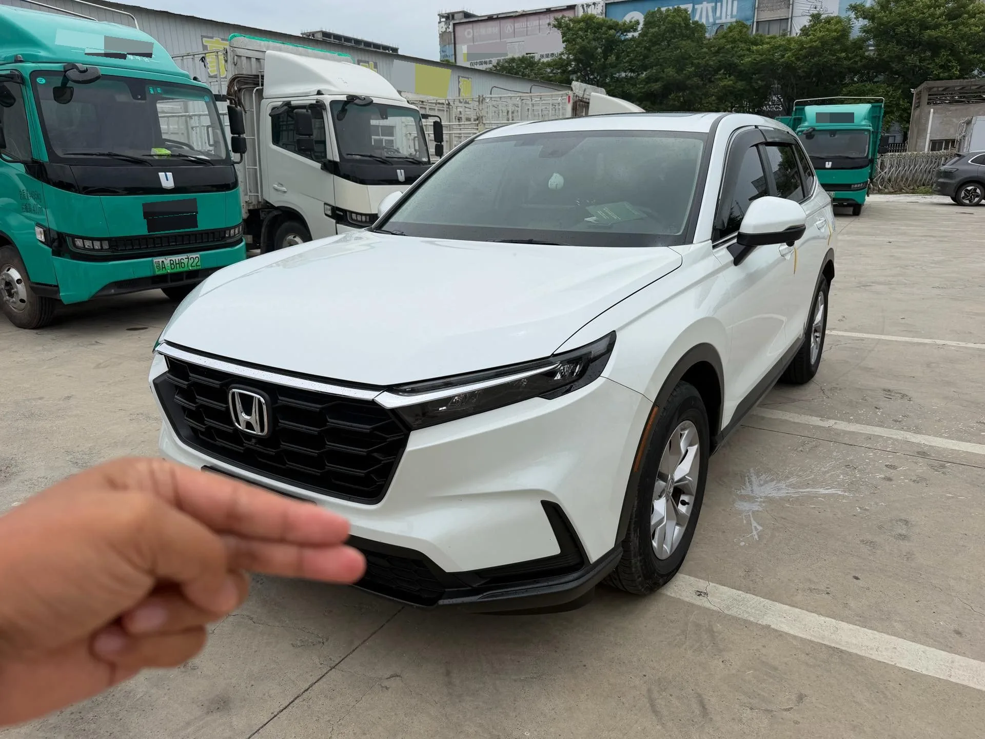 Honda CR-V 2023 240TURBO 2WD Vitality Edition