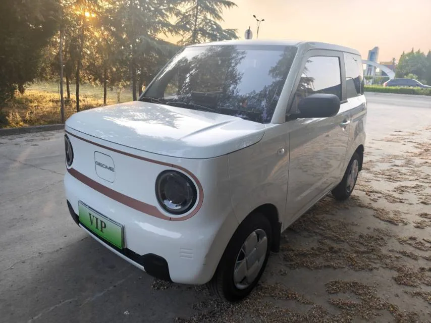 Panda 2024 Panda Mini 200km Endurance Bear