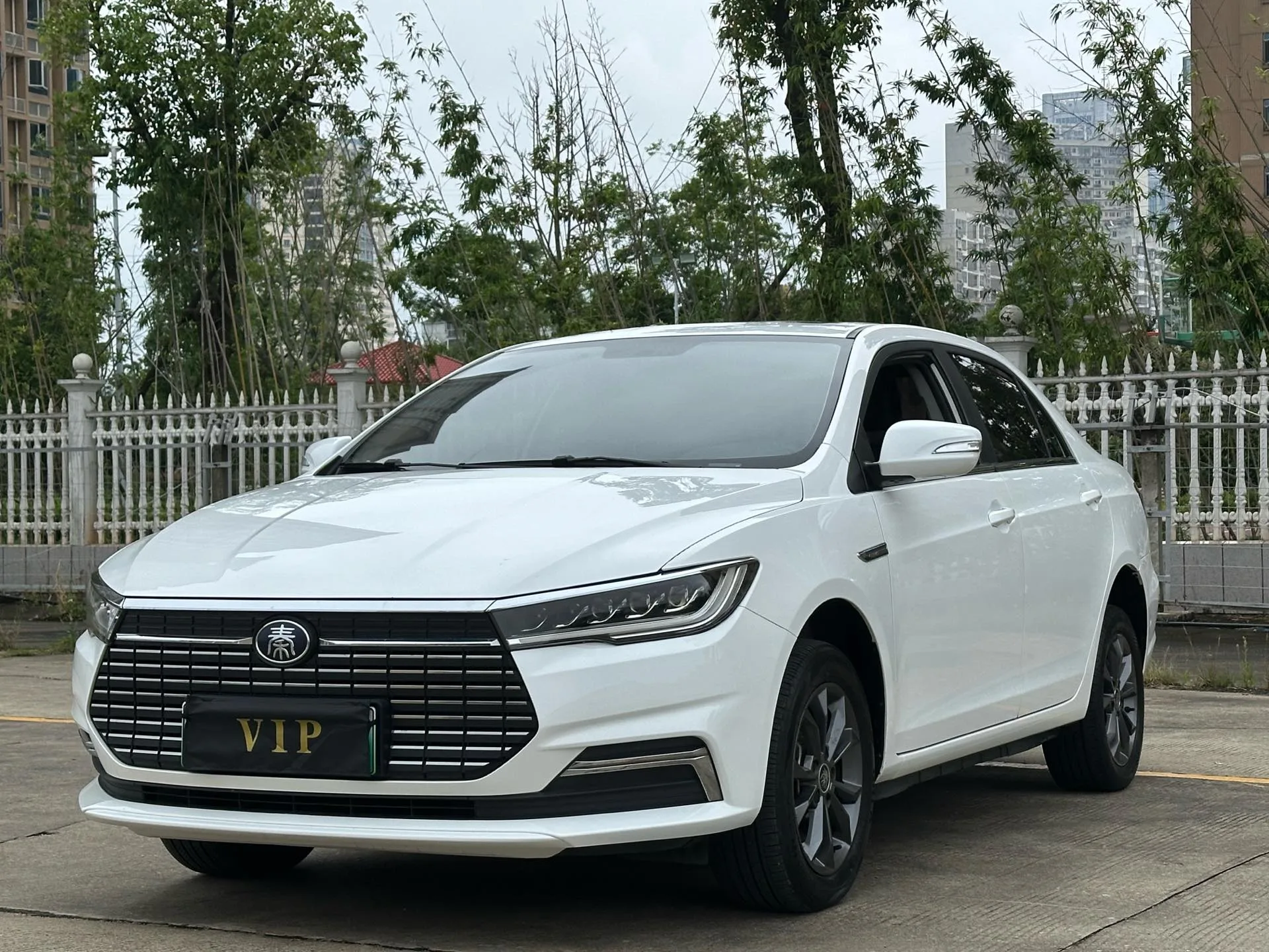 Qin New Energy 2019 Commuter Edition