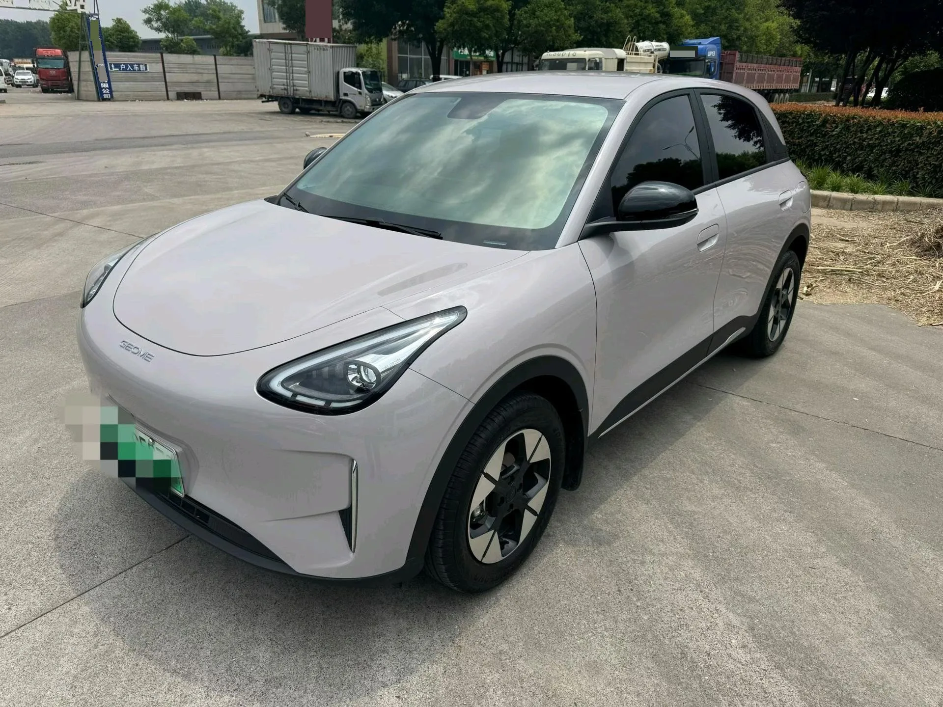 Star Wish 2026 Model 310km Dream Edition