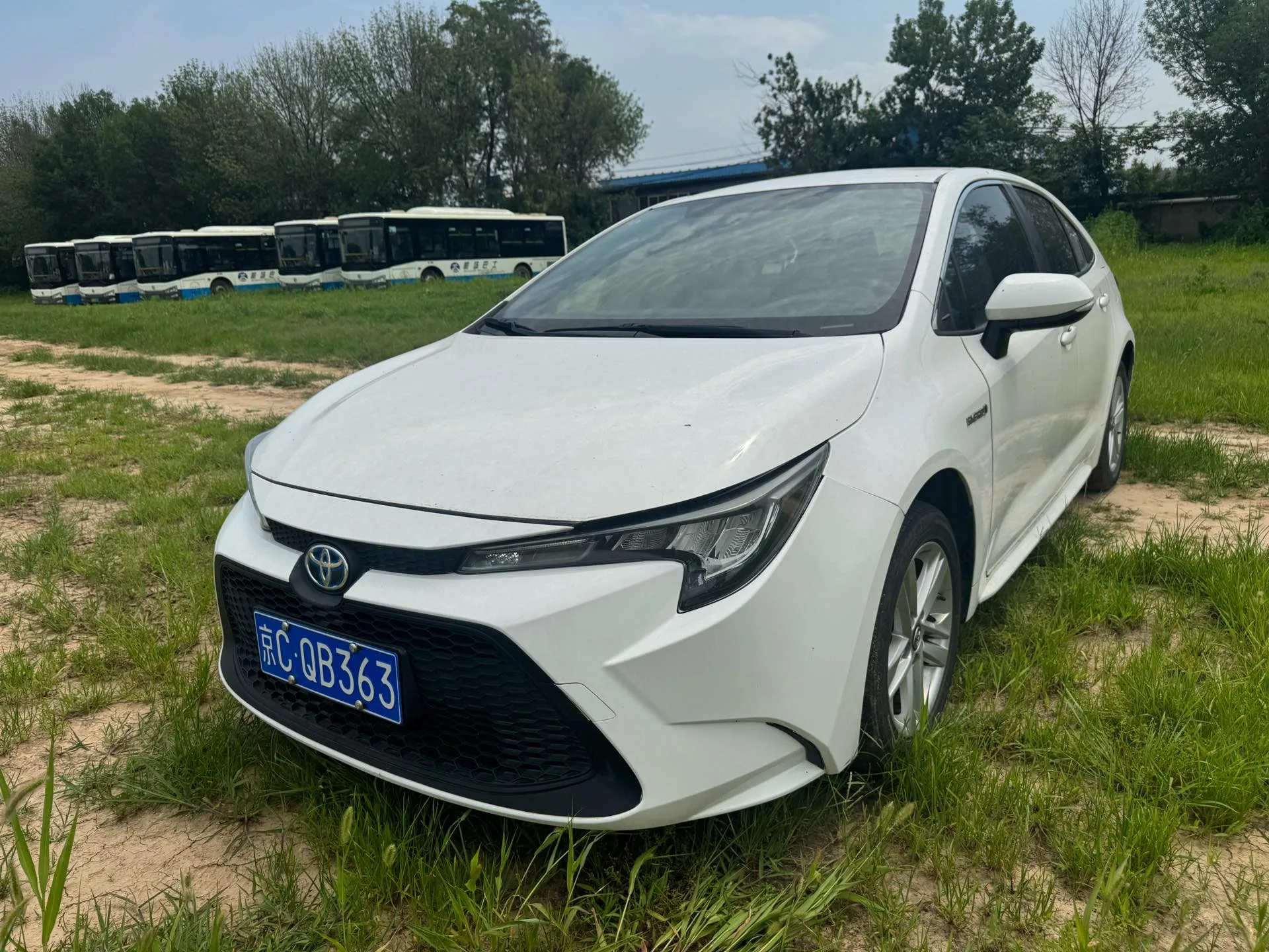 Levin 2021 Hybrid 1.8H E-CVT Luxury Edition