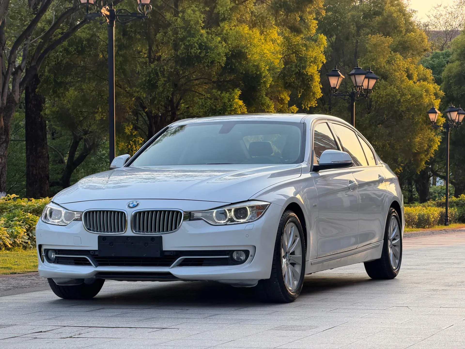 2014 BMW 3 Series 320Li Luxury Design Package