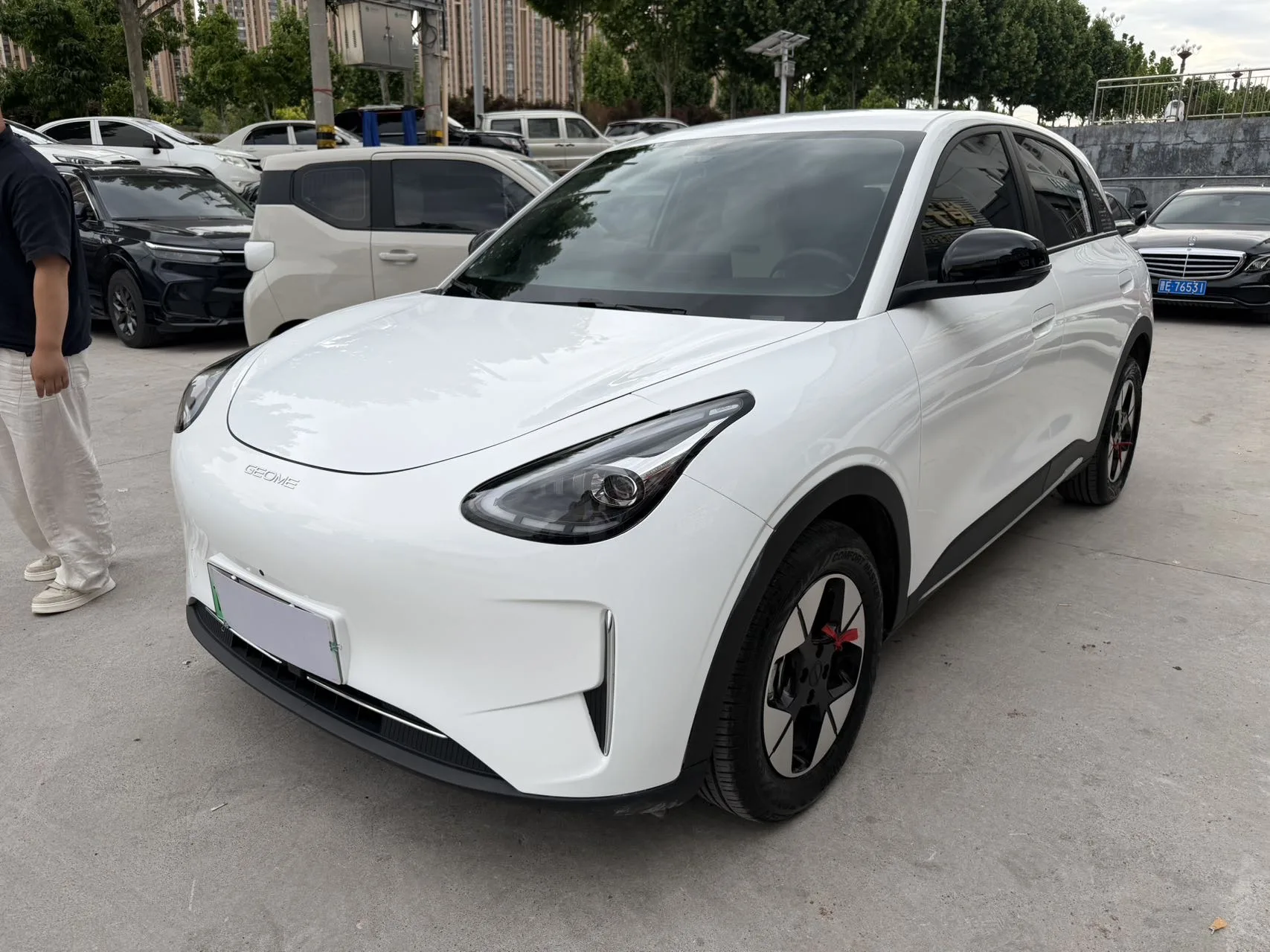 Star Wish 2025 310km Dream Edition