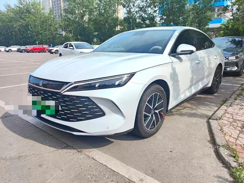 Qin L 2024 DM-i 120KM Transcend Edition