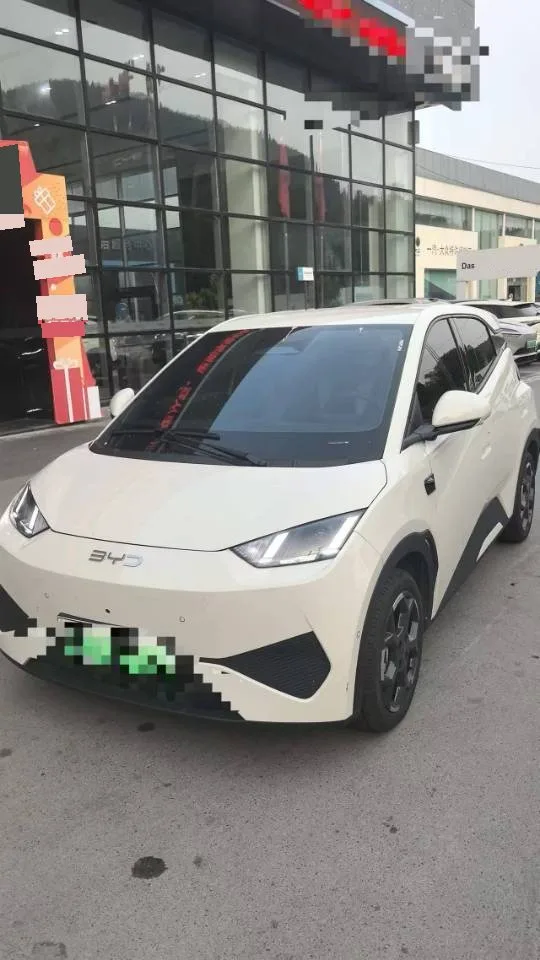 BYD 2025 Seagull Smart Driving Edition 305km Freedom Edition Automatic Transmission