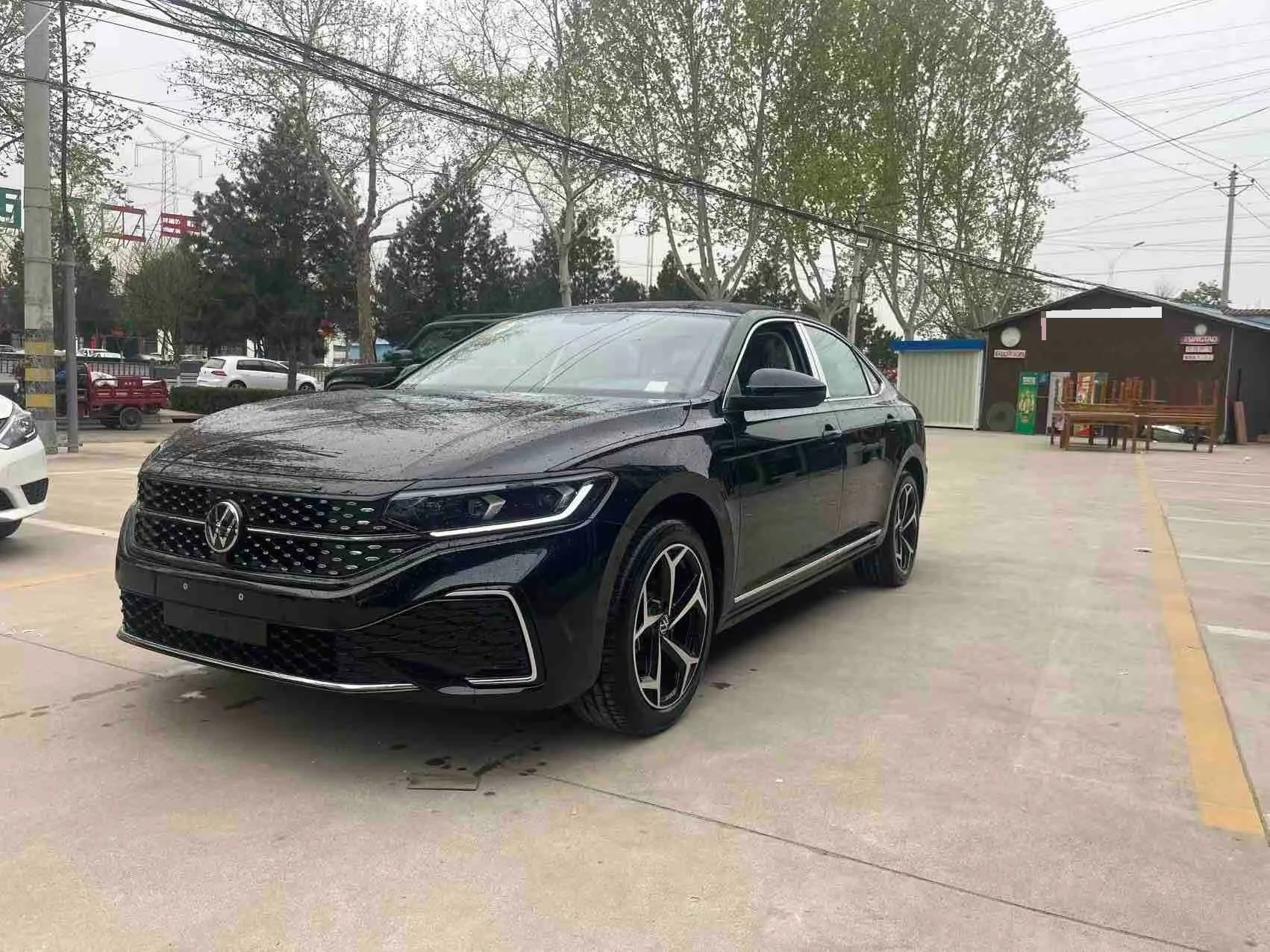 Volkswagen 2026 Passat 2.0TSI 380TSI Outstanding Edition Starry Sky Dragon Edition Automatic Transmission