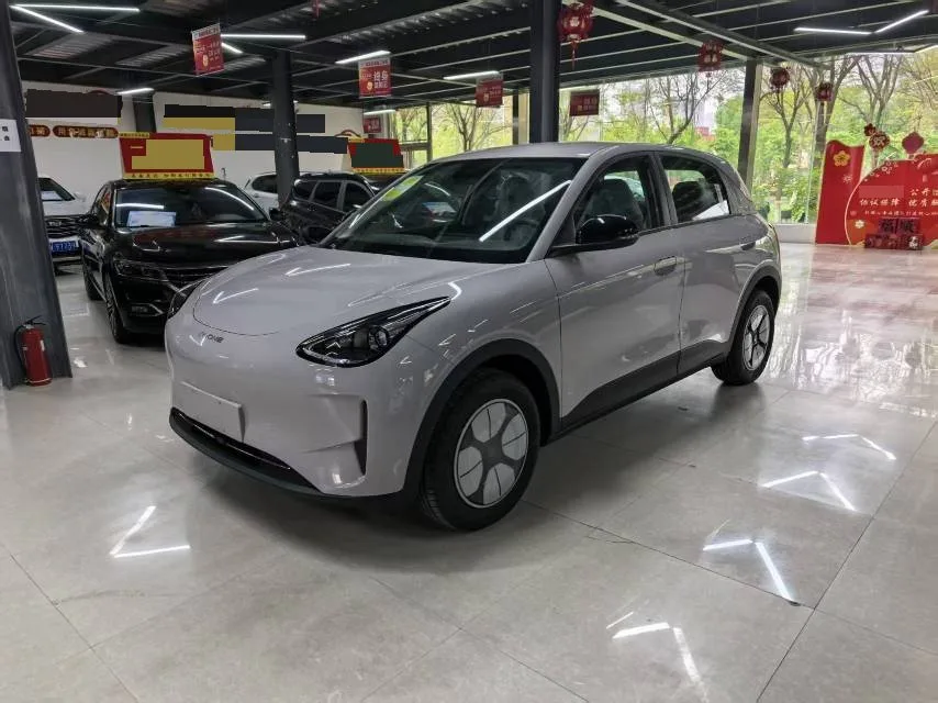Star Wish 2026 Model 310km Youth Edition