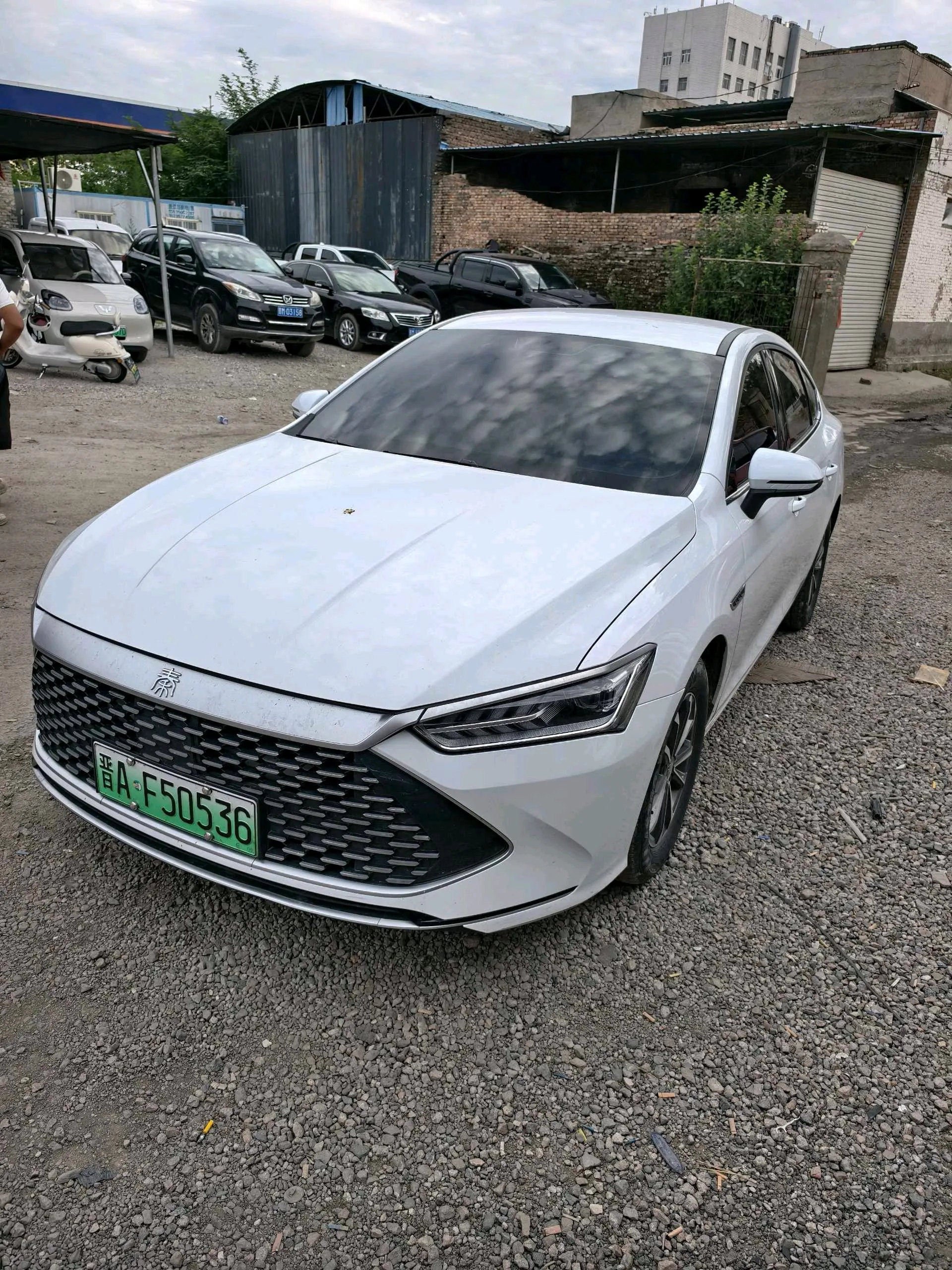 Qin PLUS 2021 DM-i 55KM Premium Edition