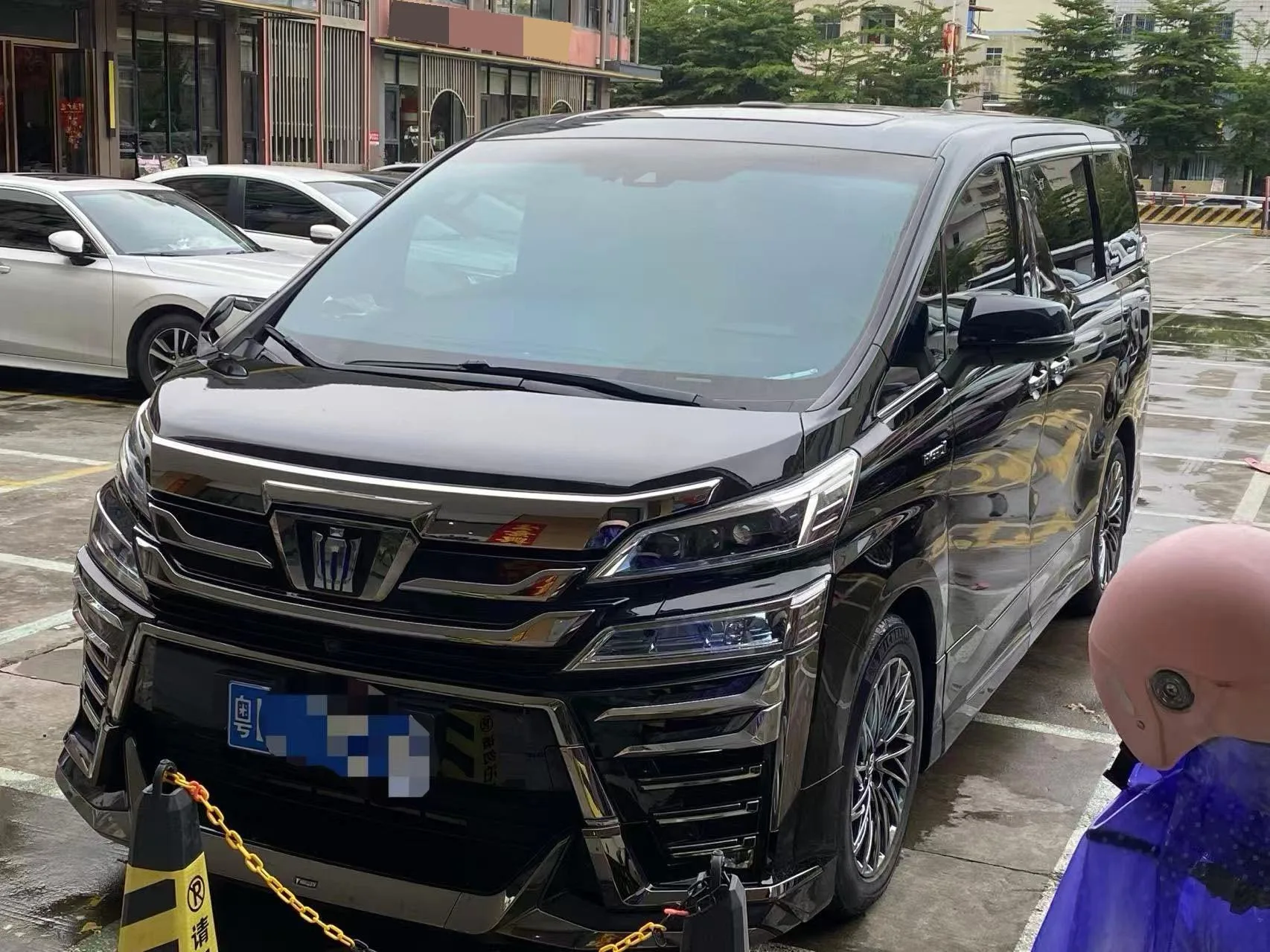 Weilfa 2019 2.5L Hybrid Premium Edition