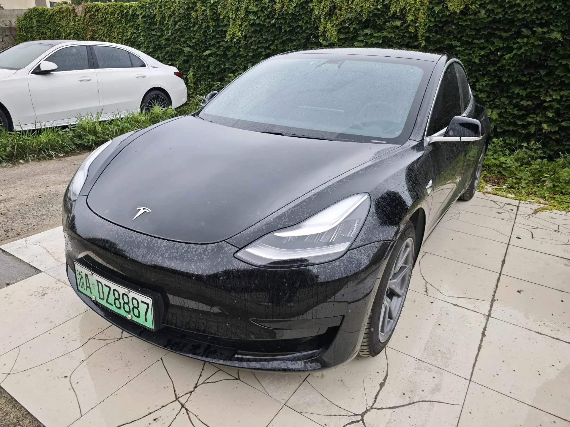 2020 Model 3 Facelift: Standard Range RWD Plus
