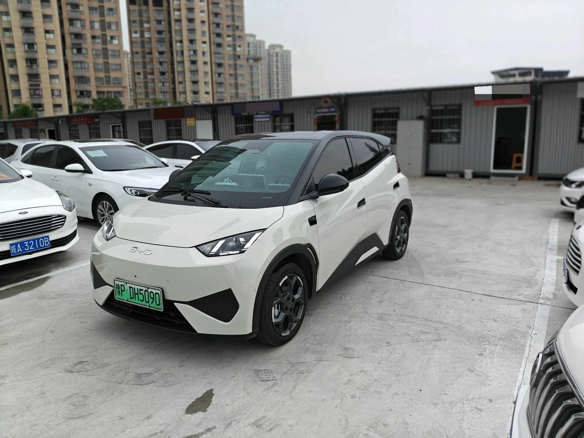 BYD 2025 Seagull Smart Driving Edition 305km Freedom Edition Automatic Transmission