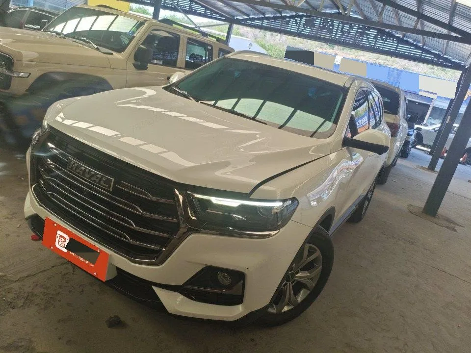 Haval H6 2021 National Trend Edition 1.5T Automatic Champion Edition