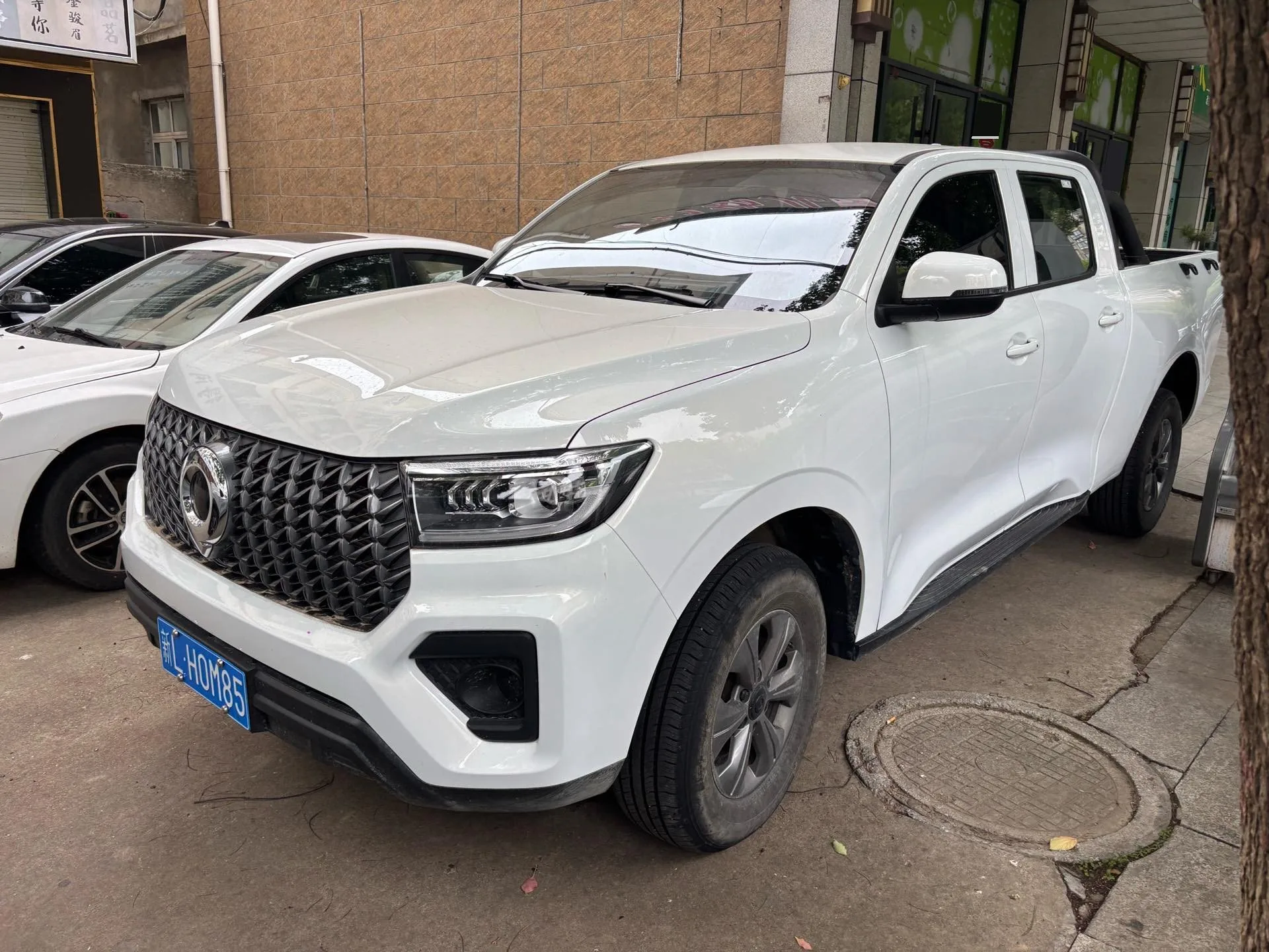 Great Wall 2025 Pao 2.0T Commercial Pao Diesel 4WD Cold-Weather Edition, Automatic Transmission