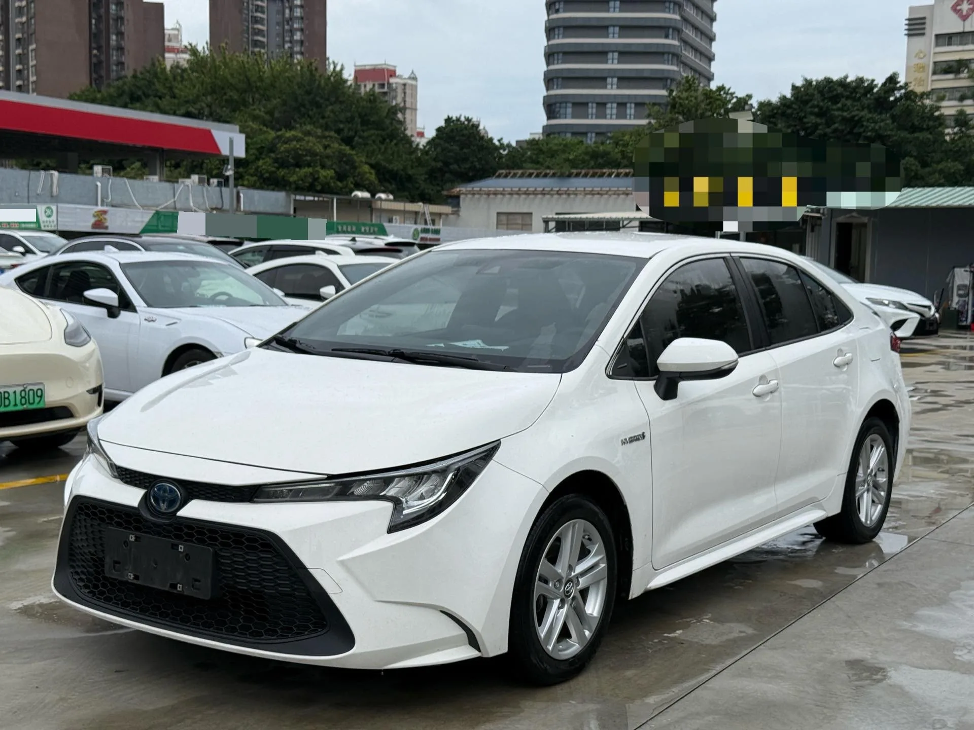 Levin 2021 Hybrid 1.8H E-CVT Luxury Edition