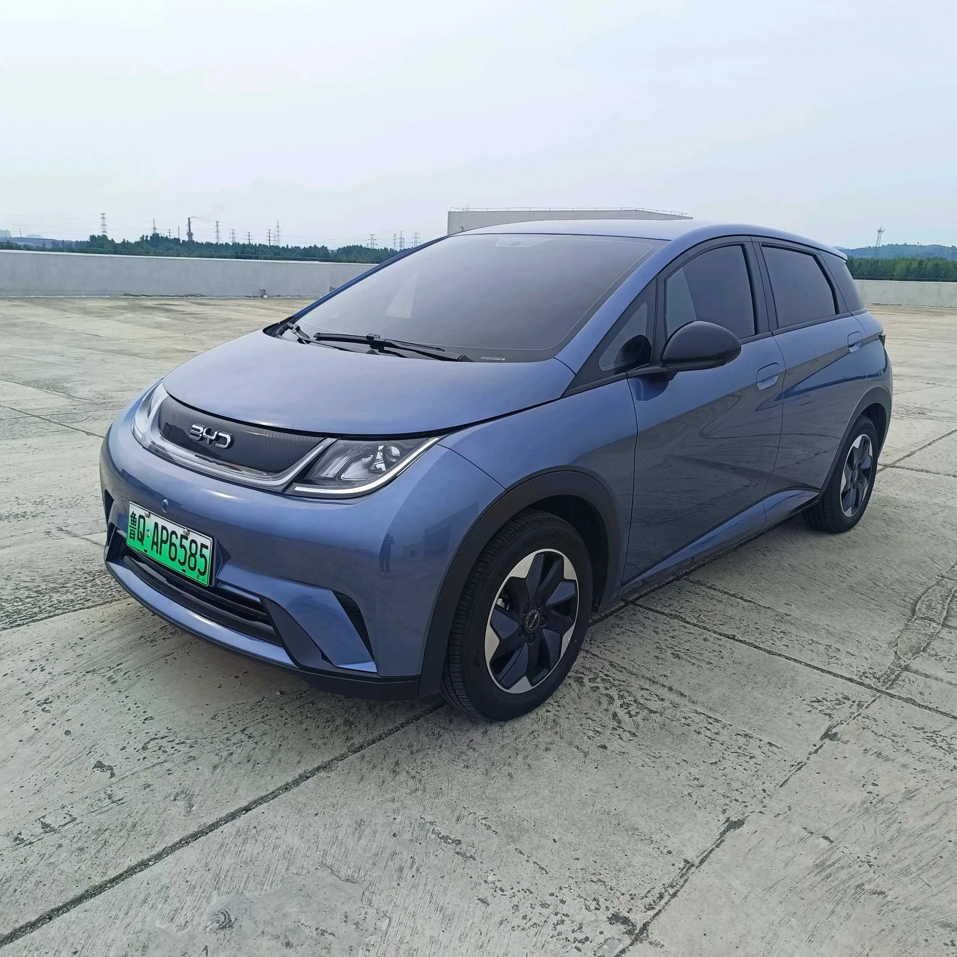 BYD 2025 Dolphin 420km Vitality Edition Automatic