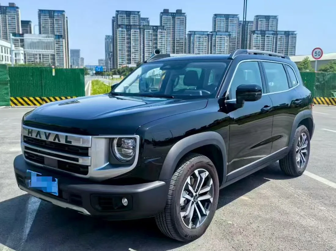 Haval 2024 Big Dog 1.5T Labrador Edition Automatic