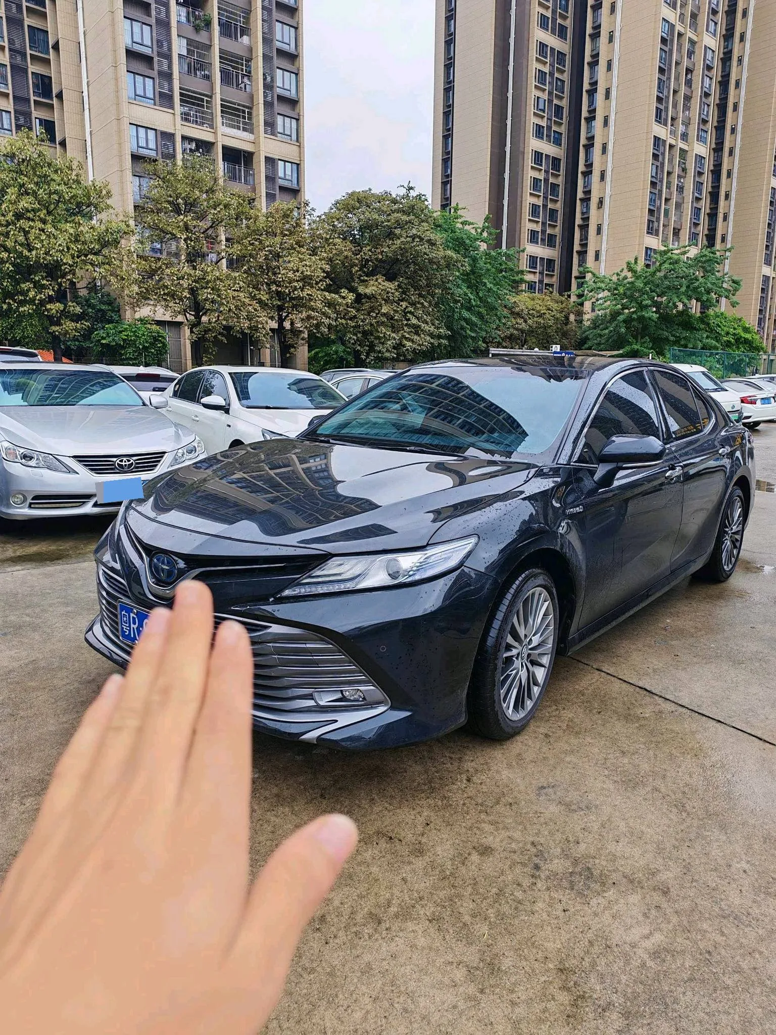 2019 Camry Hybrid 2.5HG Luxury Edition (China V)