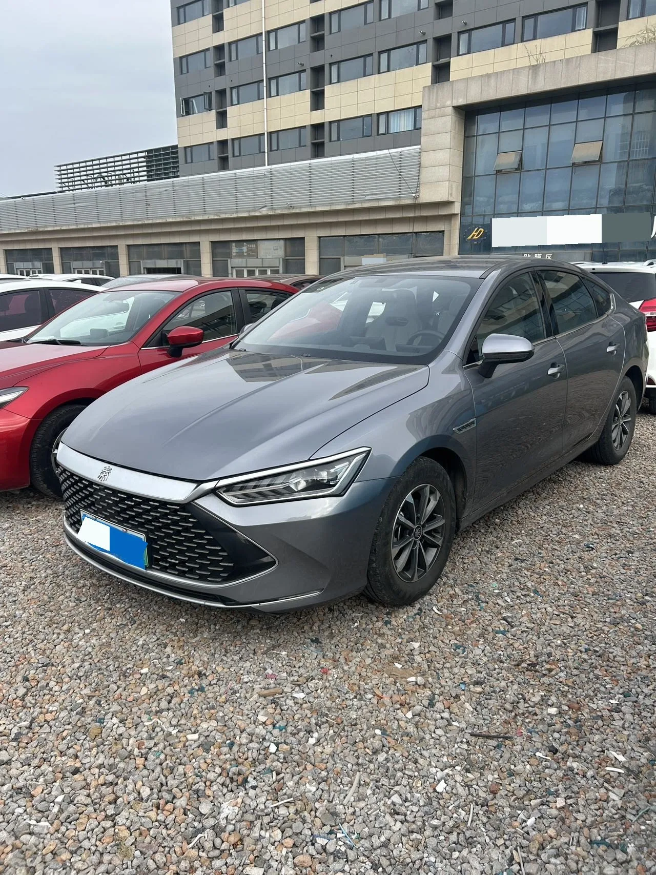 BYD 2024 Qin PLUS DM-i 1.5 CVT Glory Edition 55KM Leading Model Automatic